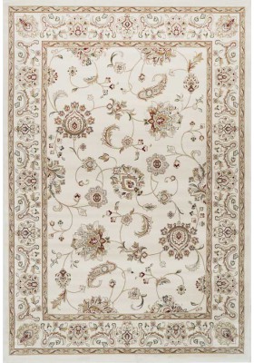 Light Classic Traditional Rug